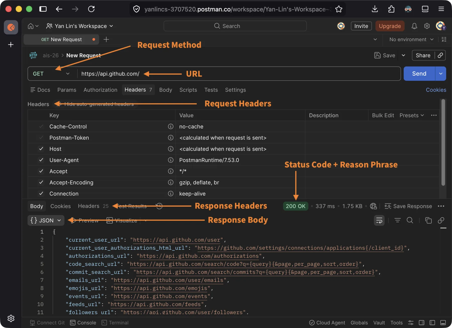 GitHub API in Postman